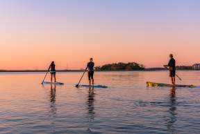 A group of friends enjoys the water on paddleboards in Golden Isles, Georgia