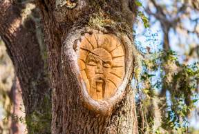 One of the famous and mysterious St. Simons Island Tree Spirits