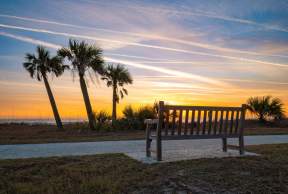 Sensory Friendly Activities in the Golden Isles of Georgia