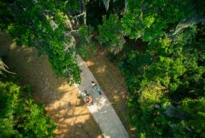Biking the Golden Isles: Top Trails and Rentals