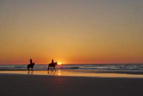 Saddle Up! Guide to Horseback Riding in the Golden Isles