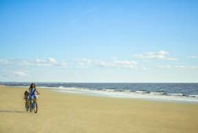 Getting Around St. Simons Island: Your Complete Transportation Guide