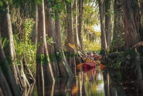 Kayaking in the Golden Isles: Routes & Rentals