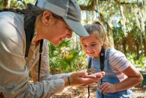 Golden Isles Wildlife Viewing Guide