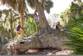 Free Activities for Kids in the Golden Isles