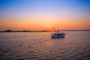 Best Seafood Restaurants: Fresh Catch