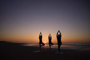 Wellness Events & Fitness Workshops in the Golden Isles