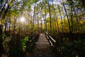 Scenic Parks in Madison County to Explore This Fall