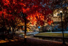 Where to Find the Best Fall Colors in Huntsville
