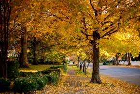 Enjoy the Top Things to Do in the Fall in Huntsville, Alabama