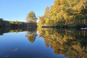 Best Fall Outdoor Activities in Huntsville and Madison County