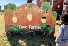 Not So Spooky Halloween Events For The Kids in Huntsville and Madison County
