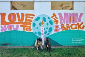 Discover South Huntsville
