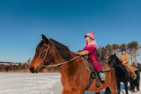 TOP 10 THINGS TO DO IN AND AROUND MONCTON-DIEPPE IN FEBRUARY