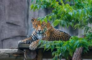 Milwaukee County Zoo