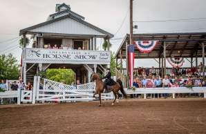 Horse Show