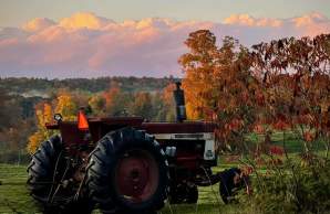 Fall Festivals & Fun in ShelbyKY