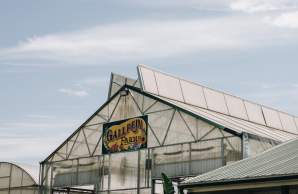 How A Family Farm Became A Must-Visit Destination In Kentucky