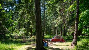 Saysutshun camping