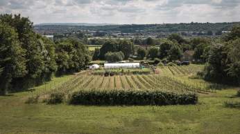 Buttercliff Farm near Bristol - credit Faydit Photography