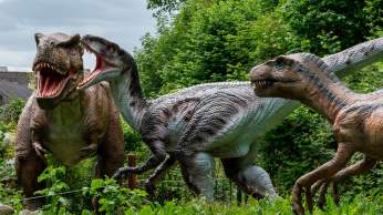 Have a dinosaur-themed day out in Bristol