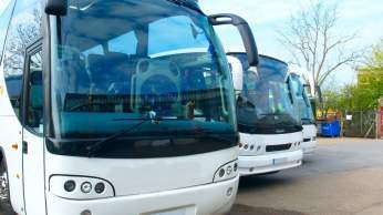 Two white coaches parked next to each other in a car park