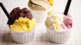Bristol's best ice cream