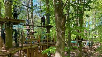 Tree Tops Adventure Bristol: An unforgettable outdoor adventure for all ages