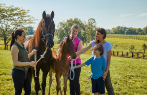 Why is ShelbyKY the Saddlebred Capital of the World?