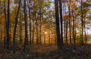 Here's What to See and Do in ShelbyKY This Fall
