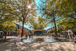 Your Guide to Birkdale Village