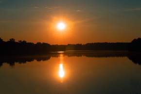 The Legend of Normie, the Lake Norman Monster