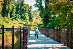 Explore Lake Norman Parks & Greenways