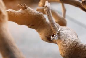 Best Places to Propose in Lake Norman