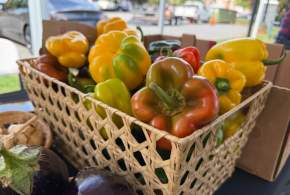 Farmers Markets of Lake Norman
