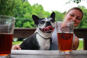 Spring Craft Beers in LKN