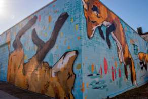 Building mural of foxes playing