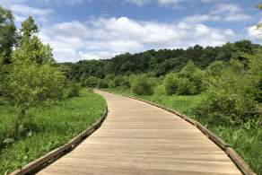 Gwinnett Goes Outside: George Pierce Park