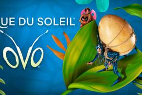 Cirque Du Soleil - Ovo