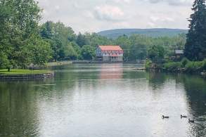 Ducks swim along the edge of Children's Lake in Boiling Springs, PA.