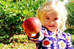 Farms & Markets