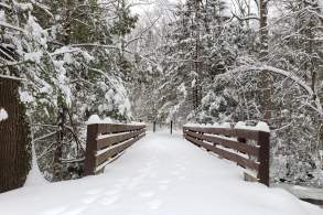 Pine Grove Furnace Winter