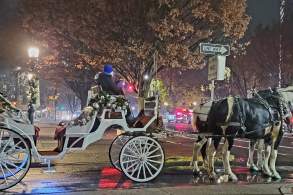 Downtown Carlisle Holiday Wagon & Carriage Rides