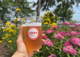 DORA Beer Burger Boat Park