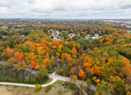 fall foliage and road