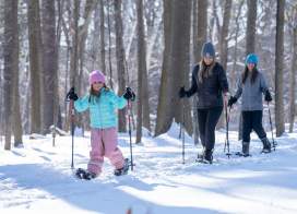 Winter Activities in Manitowoc