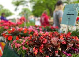 Can’t-Miss Spring Events