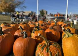 Can't-Miss Fall Events