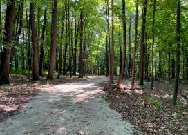Explore 76 Acres of Nature at Camp Vits