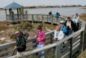 Wetland Park